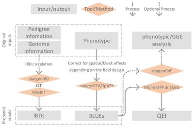 Modeling QTL-by-environment interactions for multi-parent populations